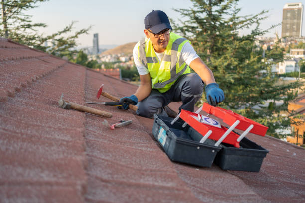 Best Yard Waste Removal  in Wolf Point, MT