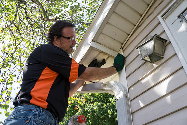 Best Property Management Cleanouts  in Wolf Point, MT